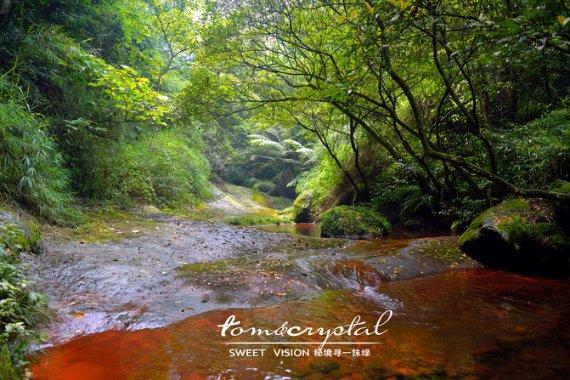 崂山热可乐为媒,青岛开启城市“宠粉”新模式